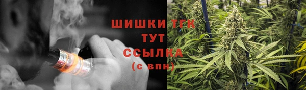 spice Вяземский