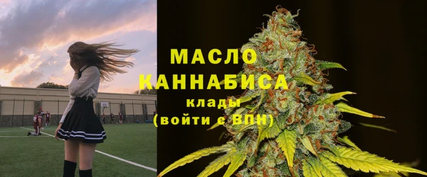 СК Вязьма