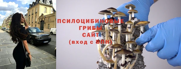молекула духа Бородино