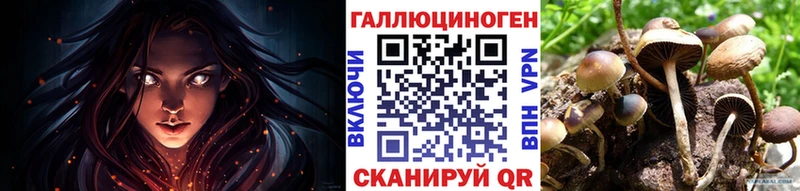 Купить где  Лодейное Поле  Галлюциногенные грибы мицелий 