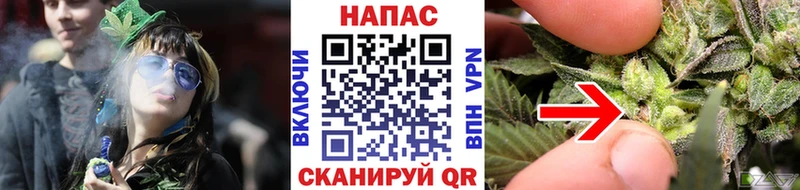 Бошки Шишки AK-47  Купить где  Лодейное Поле 